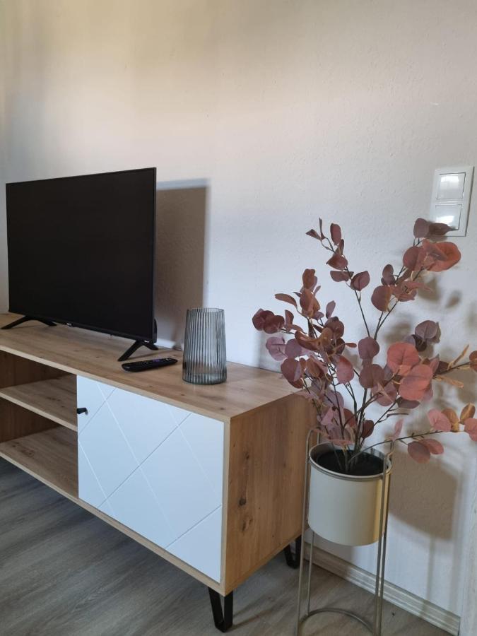 Friedland  Modern Eingerichtet-Stadtnah-Ferienwohnung Mit Geschirrspueler Und Waschmaschine מראה חיצוני תמונה